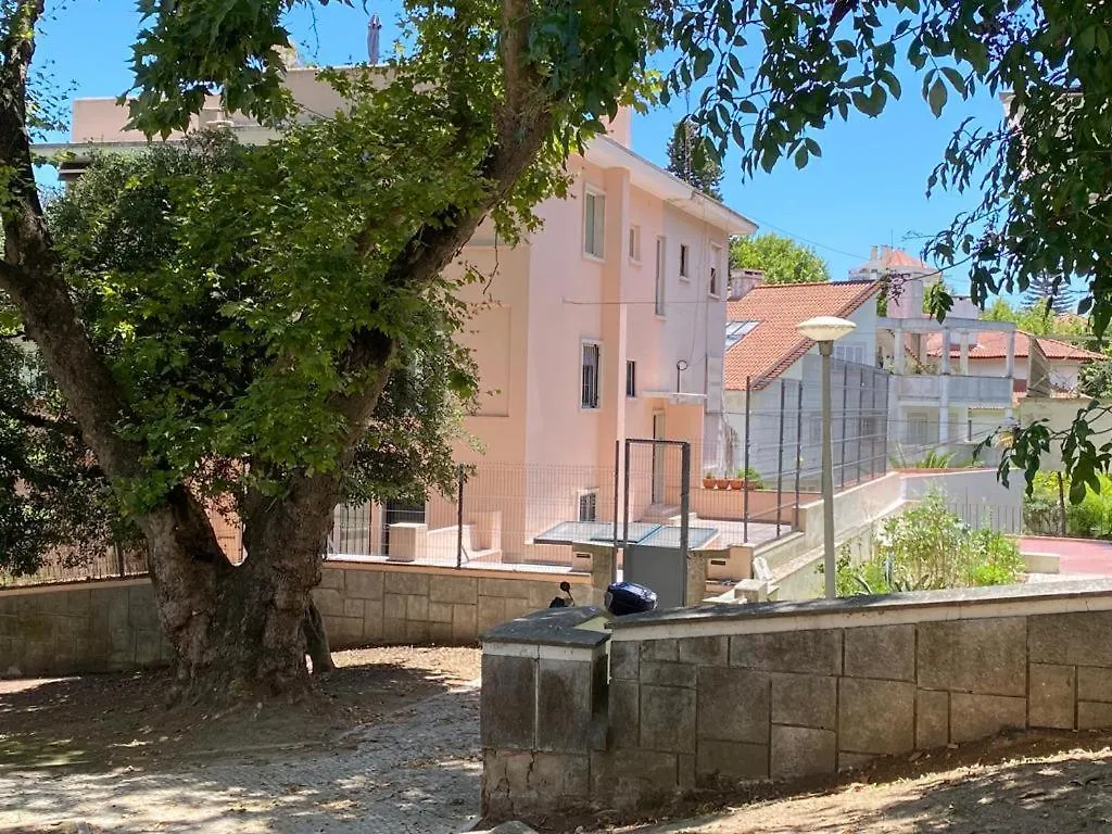 Homestay Cozy Independent Room Lisbon Portugal